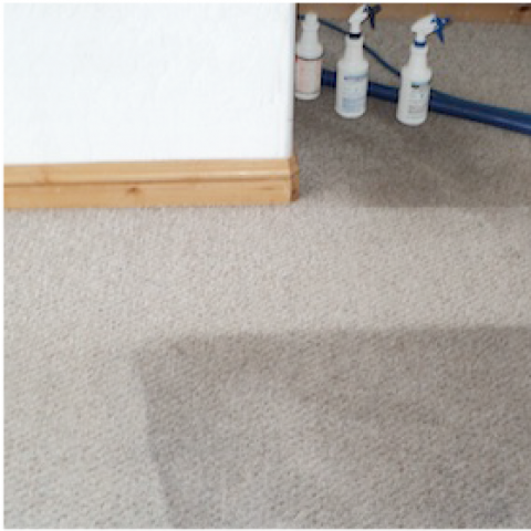 Image depicting the Service Carpet Cleaning