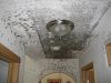 Professional Mold Remediation for Cleaner, Safer Indoor Environments Across Eagle County