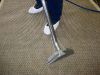 Professional Carpet Cleaning That Removes Deep Dirt, Allergens, and Everyday Stains